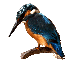 Accueil