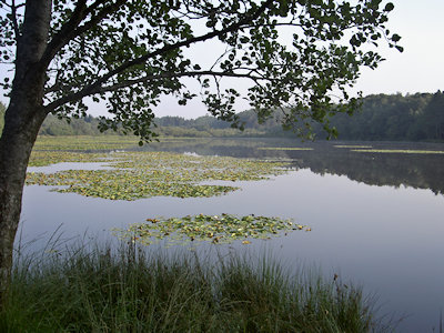 Etang de Gros